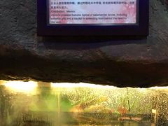 -上海大自然野生昆虫馆(东方明珠·爬宠昆虫探索中心)