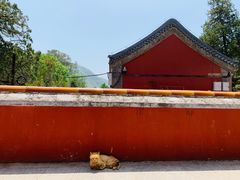 -潭柘寺景区