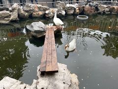 -龙华寺