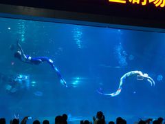 -福州罗源湾海洋世界旅游区