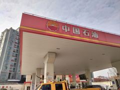 -中国石油加油站(漕宝路店)