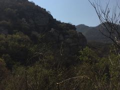 -阳台山自然风景区