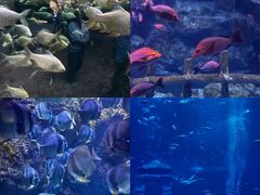 -南昌融创海世界