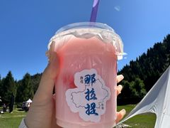 -新疆那拉提国家旅游度假区