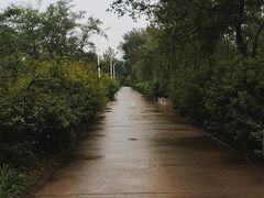 -绿堤公园