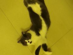 -宠颐生宠物医院外科·内科·皮肤科·影像科(石龙店)