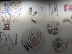 -北京中医药大学-中医药博物馆