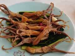 -聚福山莊·寻味顺德(北滘店)