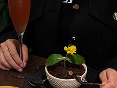 -Shantek象提南亚西餐厅&Bistro(淮海中路店)