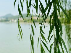 -云龙湖旅游景区