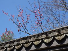 -慧因高丽寺