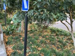 -杭州少年儿童公园