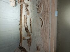 -洛阳周王城天子驾六博物馆