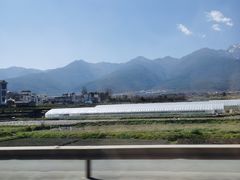 -瑞丰园庭院餐厅·白族传统家常菜