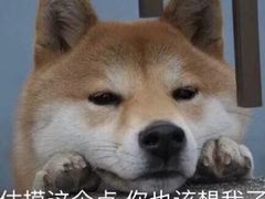 -翠云山银河滑雪场