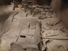 -洛阳周王城天子驾六博物馆