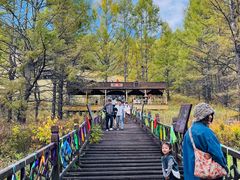 -莫尔道嘎国家森林公园