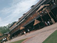 -呀路古热带植物园
