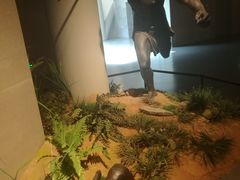 -北京周口店北京人遗址博物馆