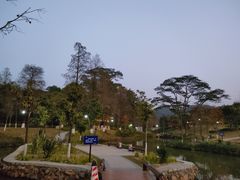 -中山市树木园