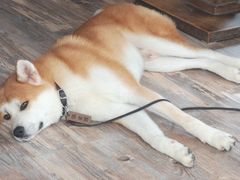 -冬日咖啡