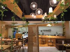 -柴务处·柴犬主题狗咖