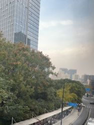 -上海首尔丽格医疗美容医院