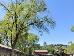 -萨尔浒风景区