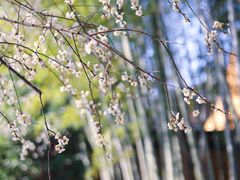 -宝岩生态观光园