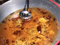 -雲蜀龙阁·金牌水煮鱼(方庄店)