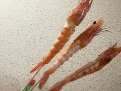 -烤五行·烧烤烤串(石佛营店)