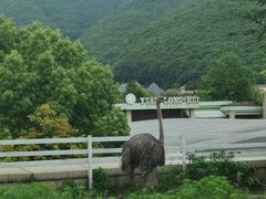 -宁波九龙湖开元度假村