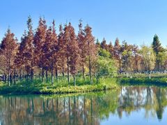 -呈贡滇池生态湿地公园