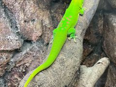 -广州长隆飞鸟乐园
