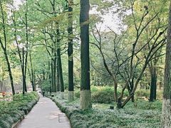-杭州植物园