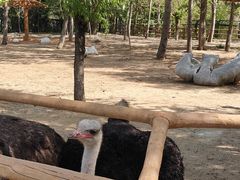 -大连森林动物园