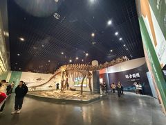 -衢州市博物馆