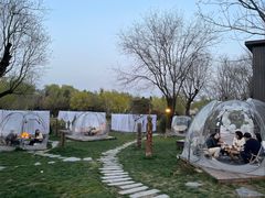 -Supine Bistro溯泮餐厅