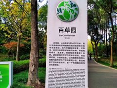 -昆山城市生态森林公园