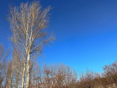 -野鸭湖国家湿地公园