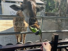 -泉州海丝野生动物世界