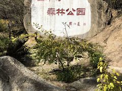 -白水寺森林公园