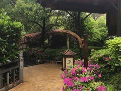 -庐山天沐温泉度假村