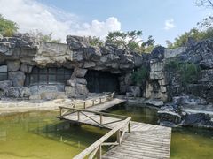 -上海吴淞炮台湾国家湿地公园