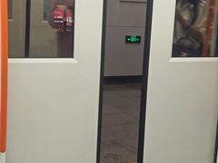 -杨高南路(地铁站)