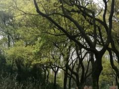 -共青国家森林公园-售票处