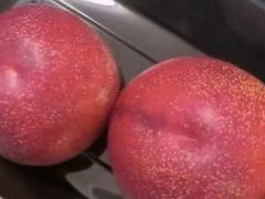 -小菜园新徽菜(合肥天鹅湖万达店)