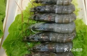 Crystal Shrimp