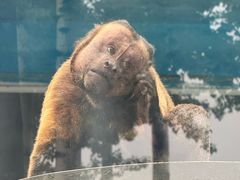 -秦皇岛野生动物园
