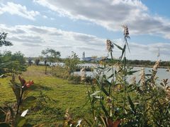 -盐城丹顶鹤湿地生态旅游区